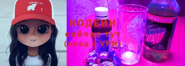 молекула духа Снежинск