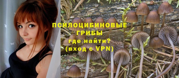хмурый Снежногорск