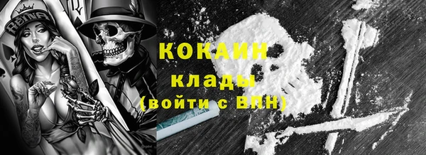 молекула духа Снежинск