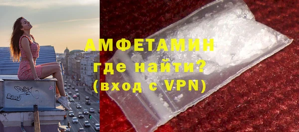молекула духа Снежинск