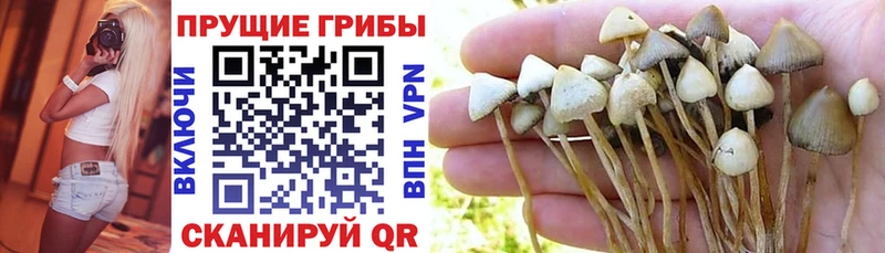 Псилоцибиновые грибы Magic Shrooms Мончегорск